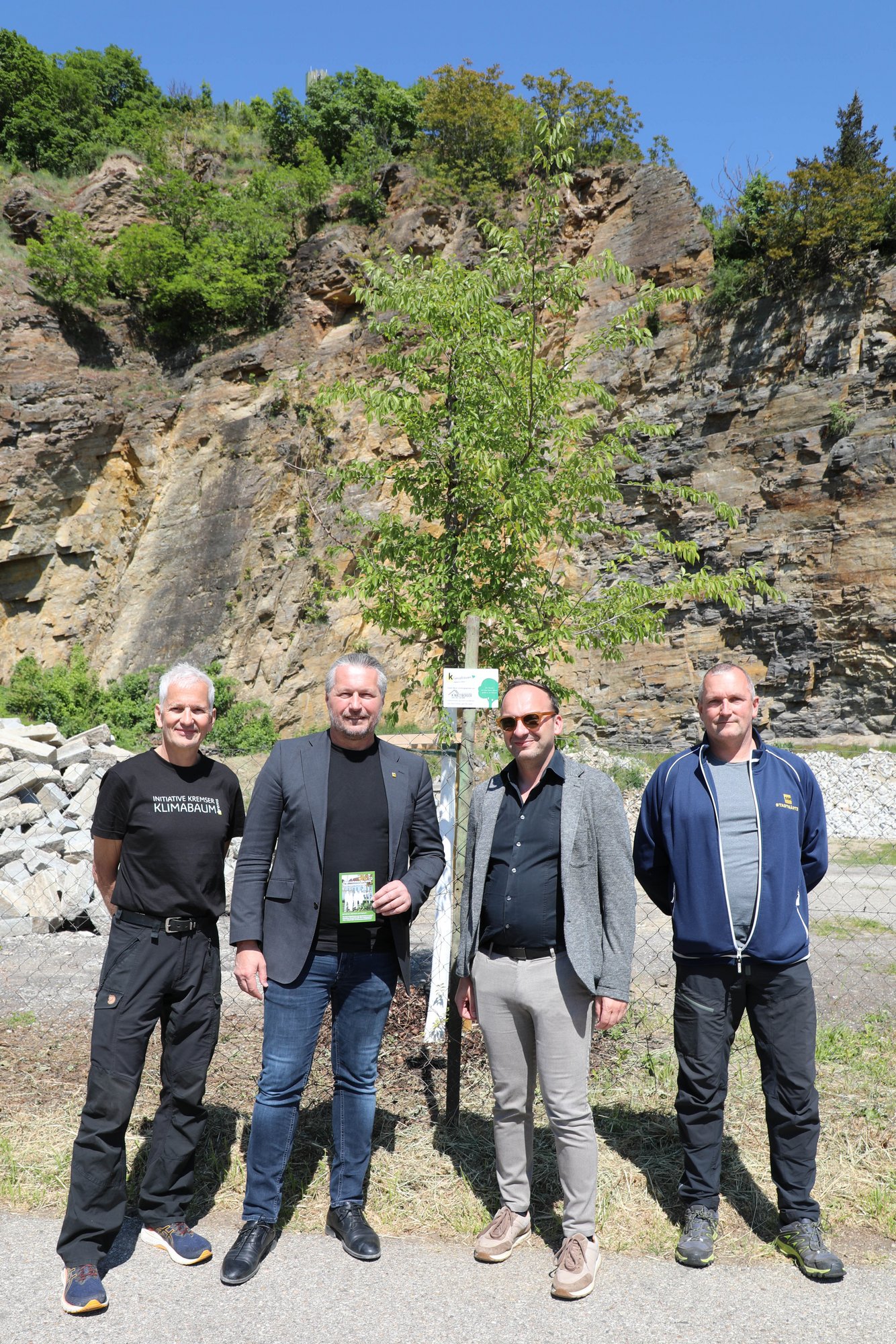 12. Mai 2025, Pate Holzbaumeister Ing. Franz Kinastberger, Ufergasse, Baumart Sapporo Ulme