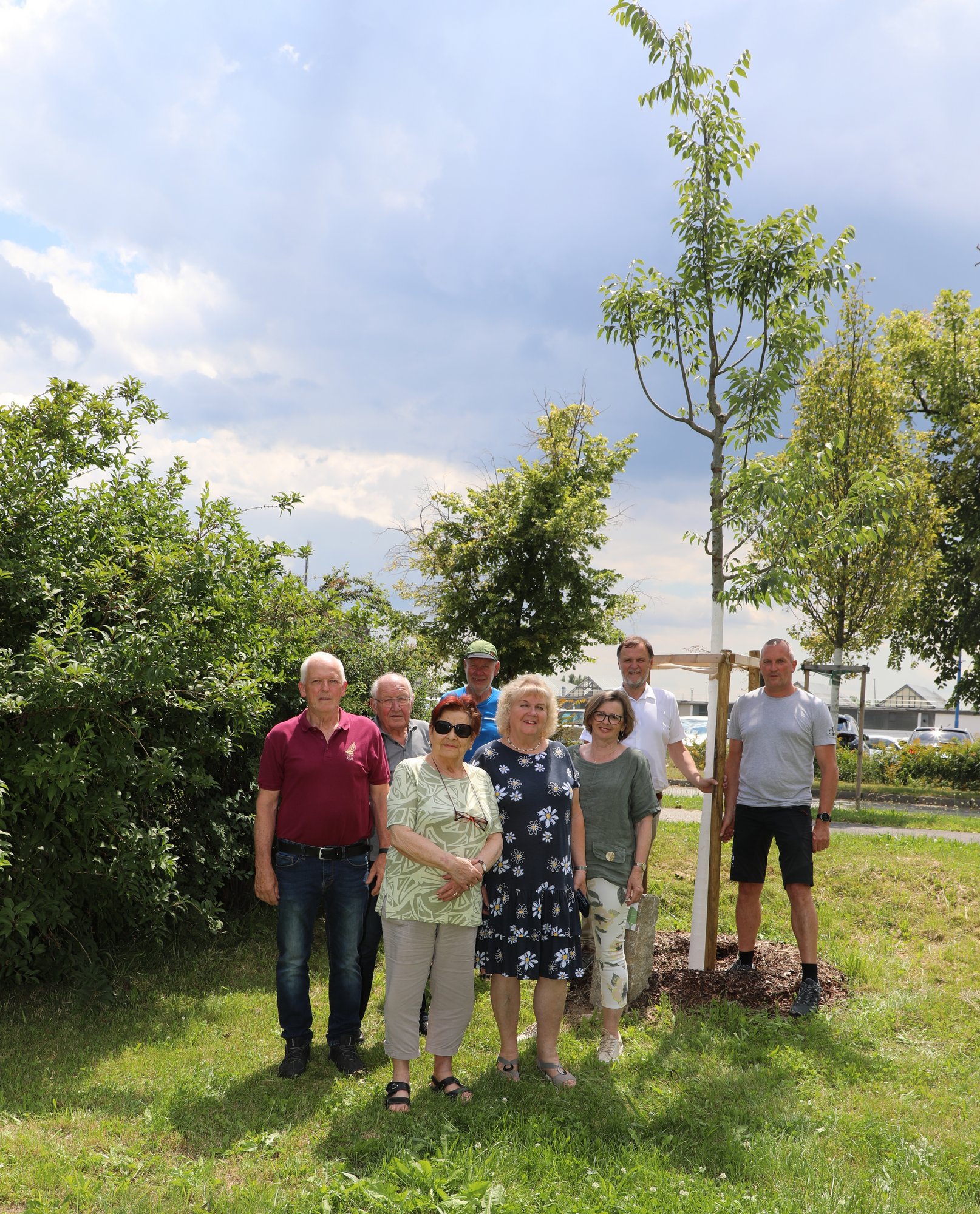 26.06.2023, Paten Verschönerungsverein Lerchenfeld im Stumpferpark, Baumart Europäischer Zürgelbaum