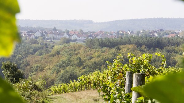 Blick auf Wohnsiedlung in Egelsee