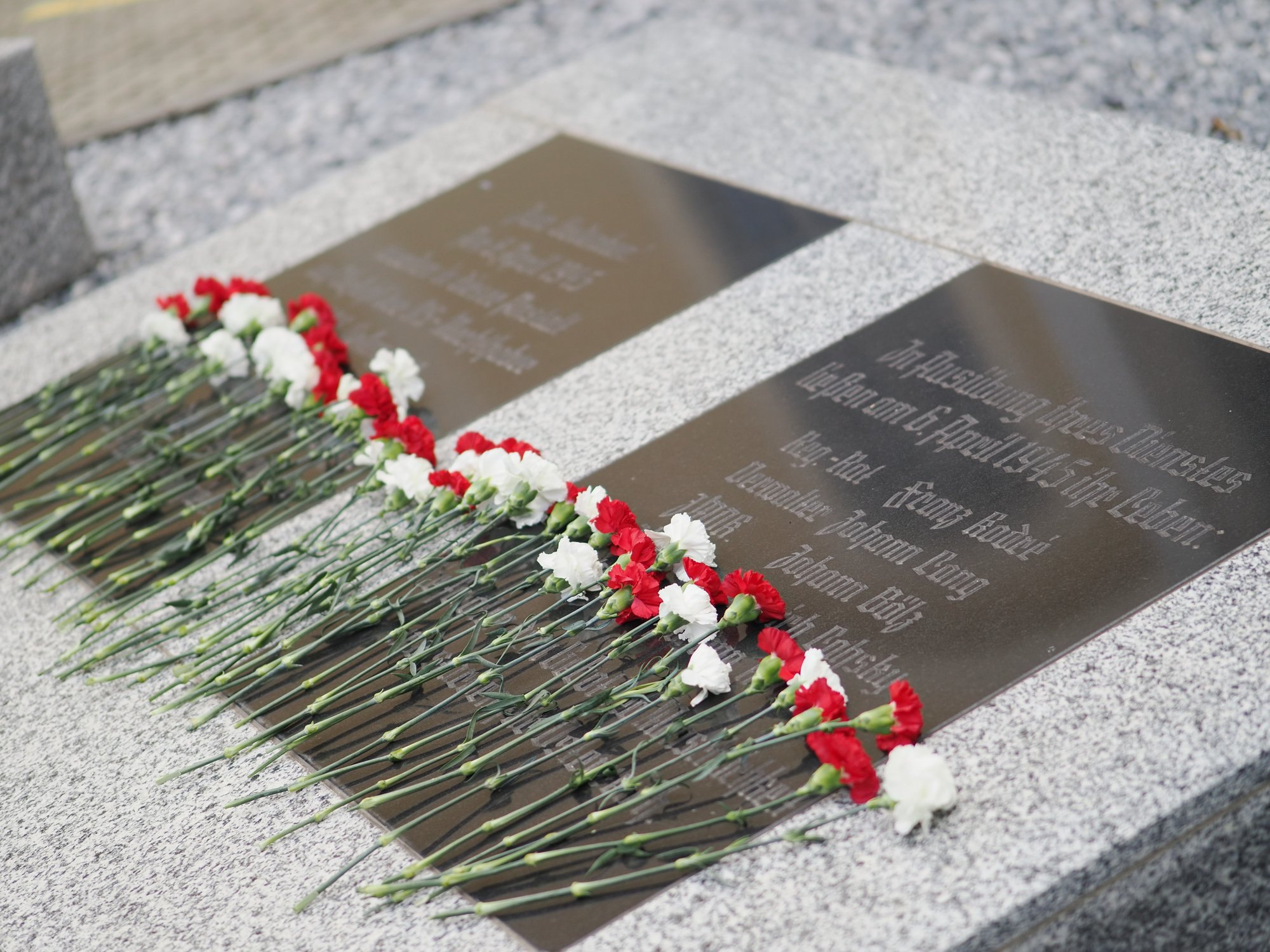 Krems erinnerte an Massaker von Stein
