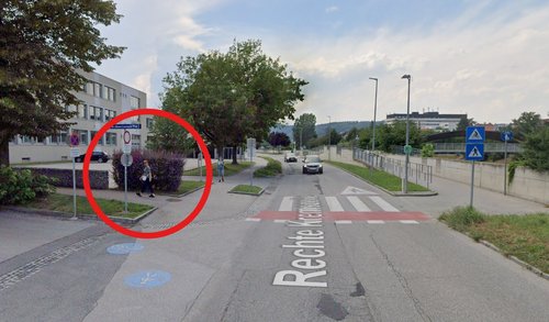 Hecke_rechte_Kremszeile.jpg