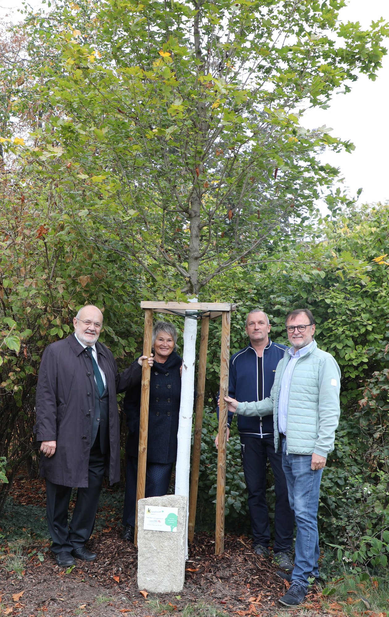 20.10.2023, Paten Karl-Landsteiner-Privatuni im Stadtpark, Baumart Feldahorn 20.10.2023, Paten Karl-Landsteiner-Privatuni im Stadtpark, Baumart Feldahorn