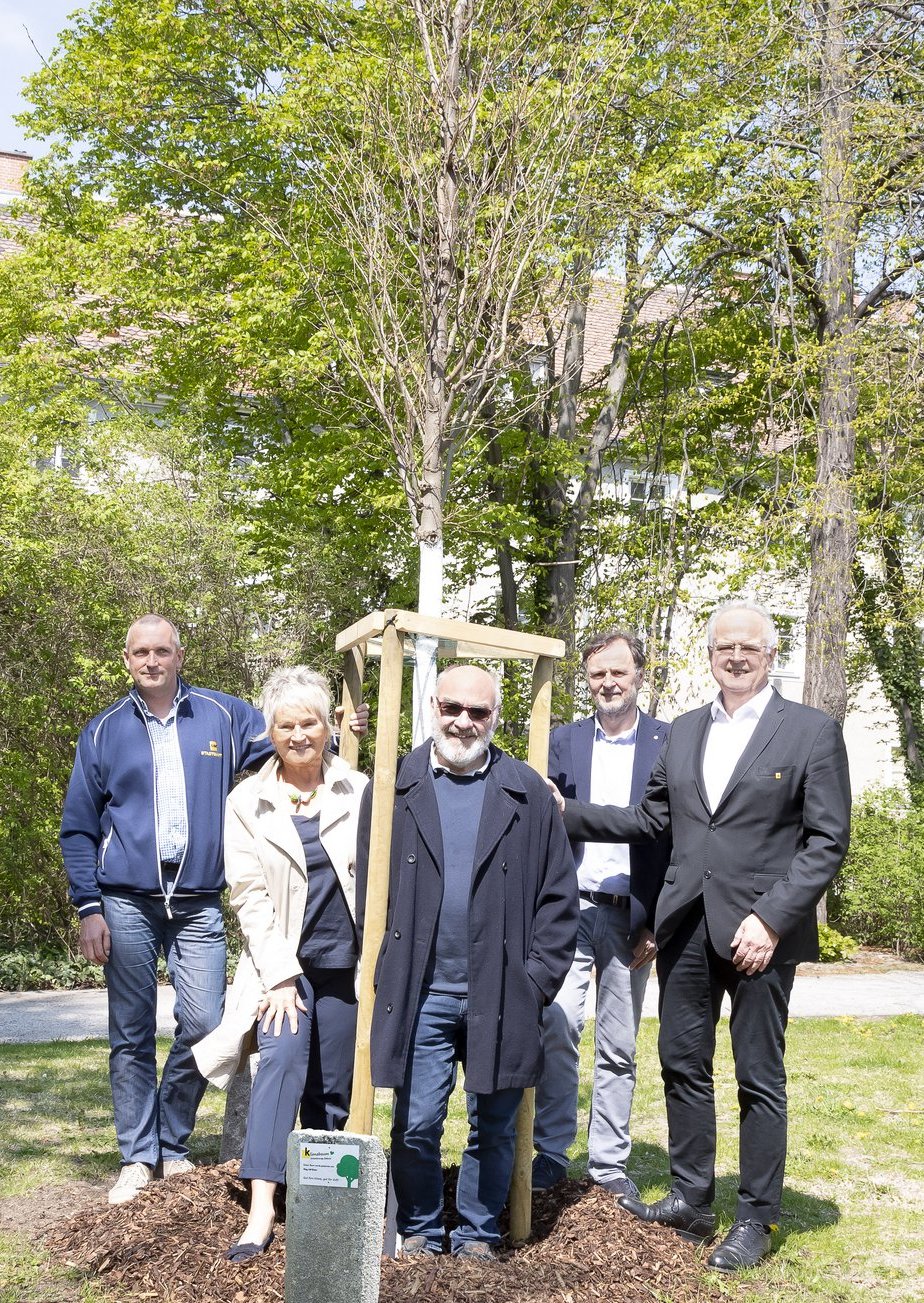 22.04.2022, Pate Mag. Ulf Elser im Birngruberpark, Baumart Schlankkronige Zelkova