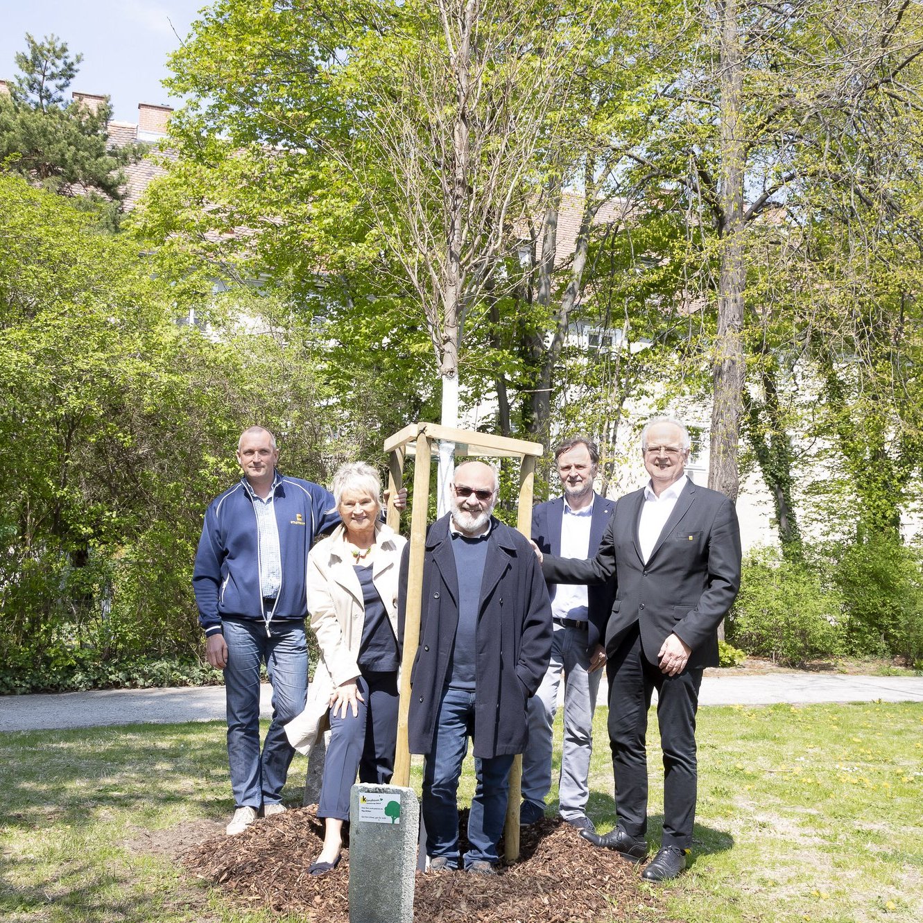 22.04.2022, Pate Ulf Elser im Wertheimpark, Baumart Schlankkronige Zelkova