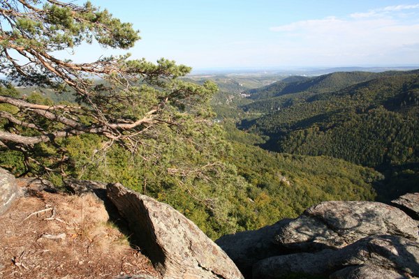 Krems schützt Naturjuwel Kamp- und Kremstal