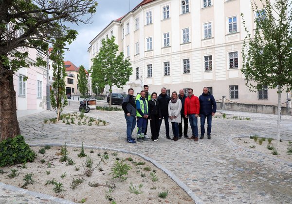 Neun Vertreter aus Stadt, Politik und Baufirma am nördlichen Teil des Hohen Markts