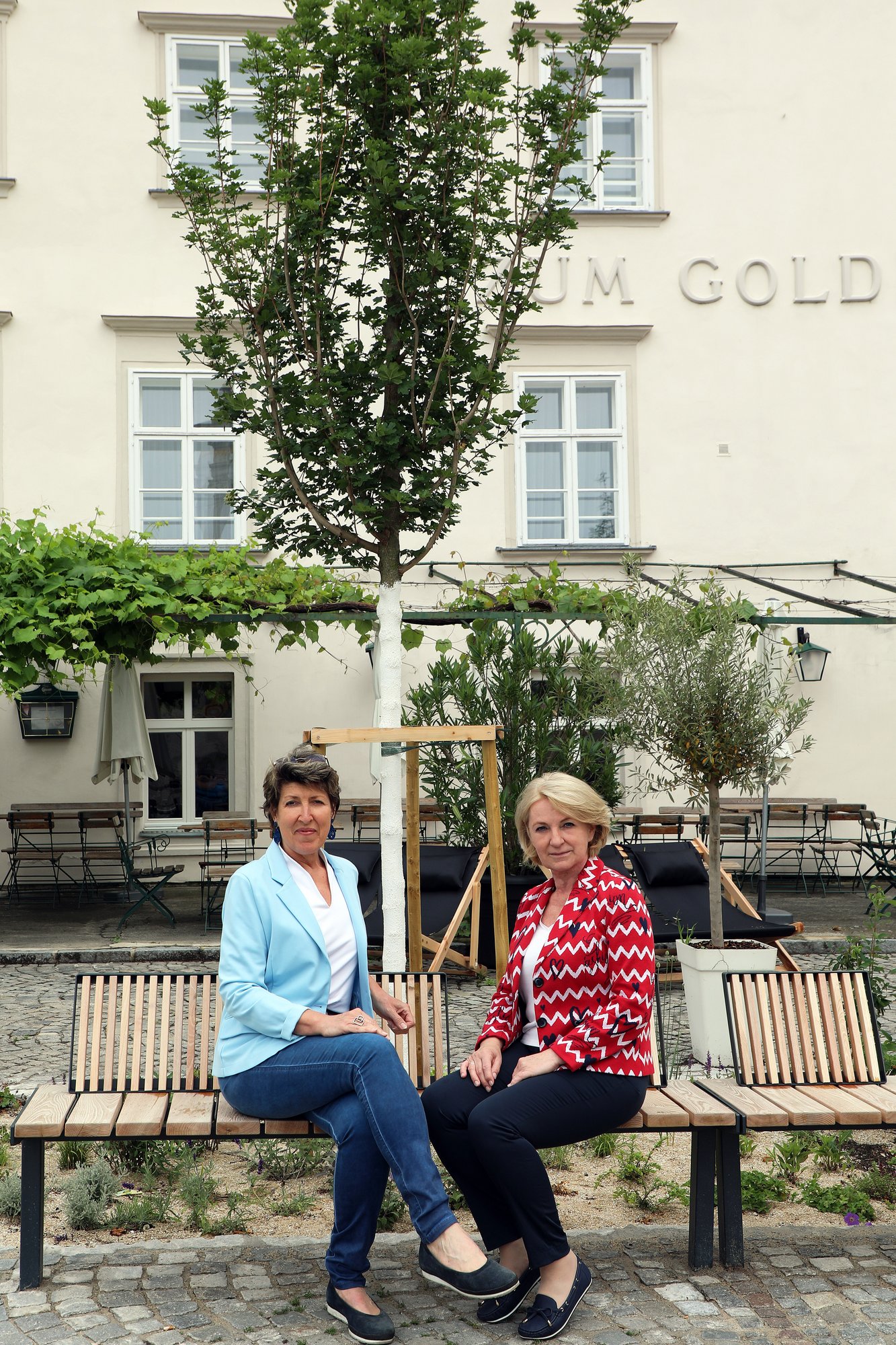 2. Juni 2025, Patinnen Vizebürgermeisterin Eva Hollerer und Gaby Heindl, Dreifaltigkeitsplatz, Baumart Feldahorn