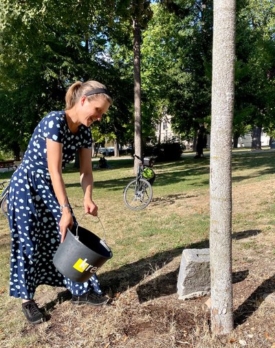 Initiative KREMSER KLIMABAUM ruft zum Gießen junger Stadtbäume auf