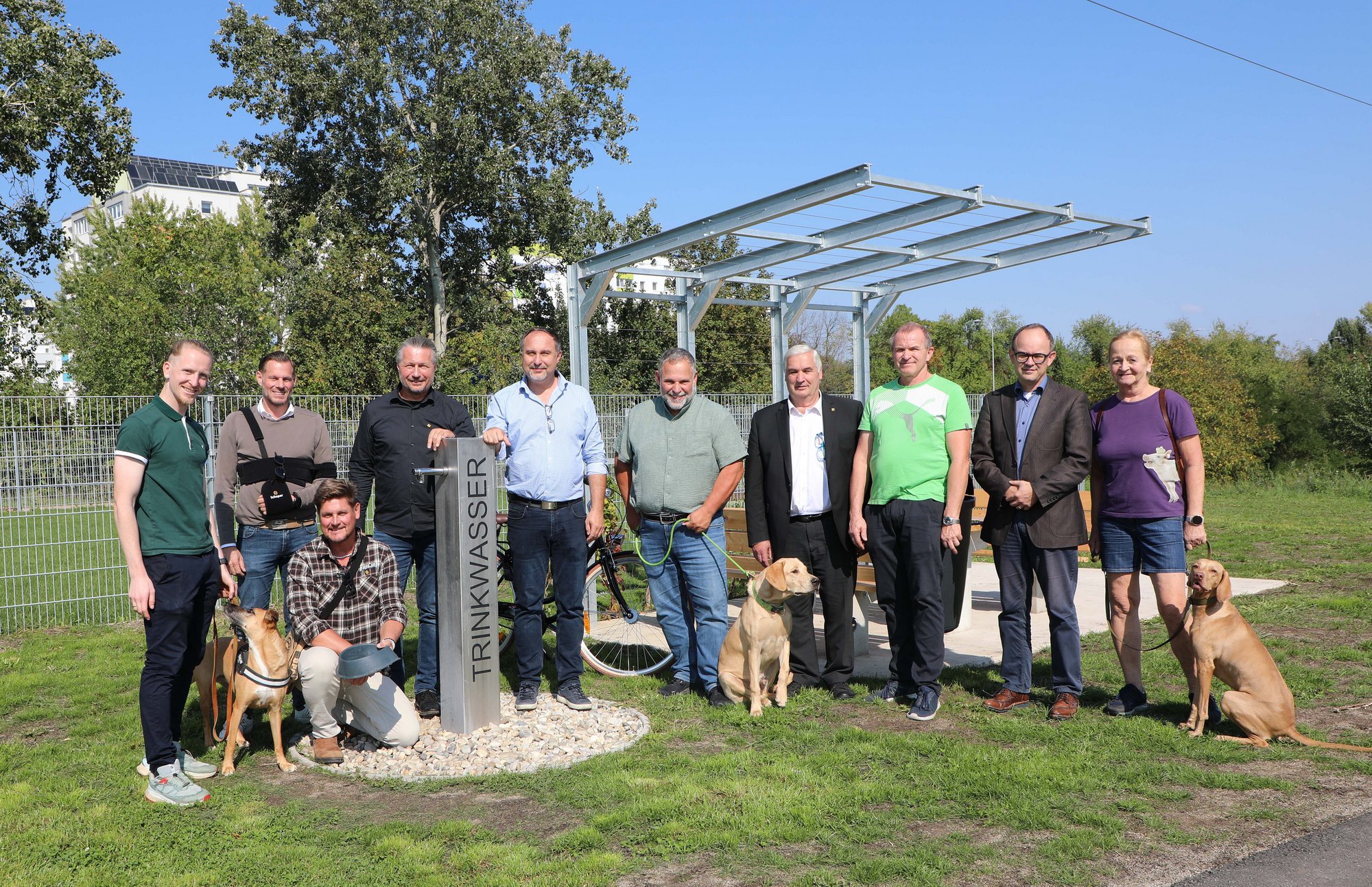 Krems hat eine Hundezone: Freilauf für Hunde in der Stadt 