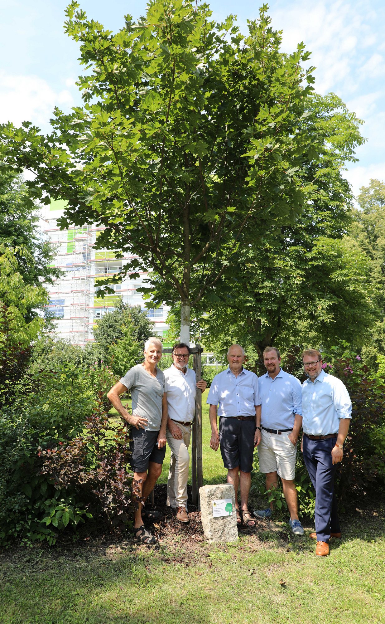 Klimabaum gepflanzt
