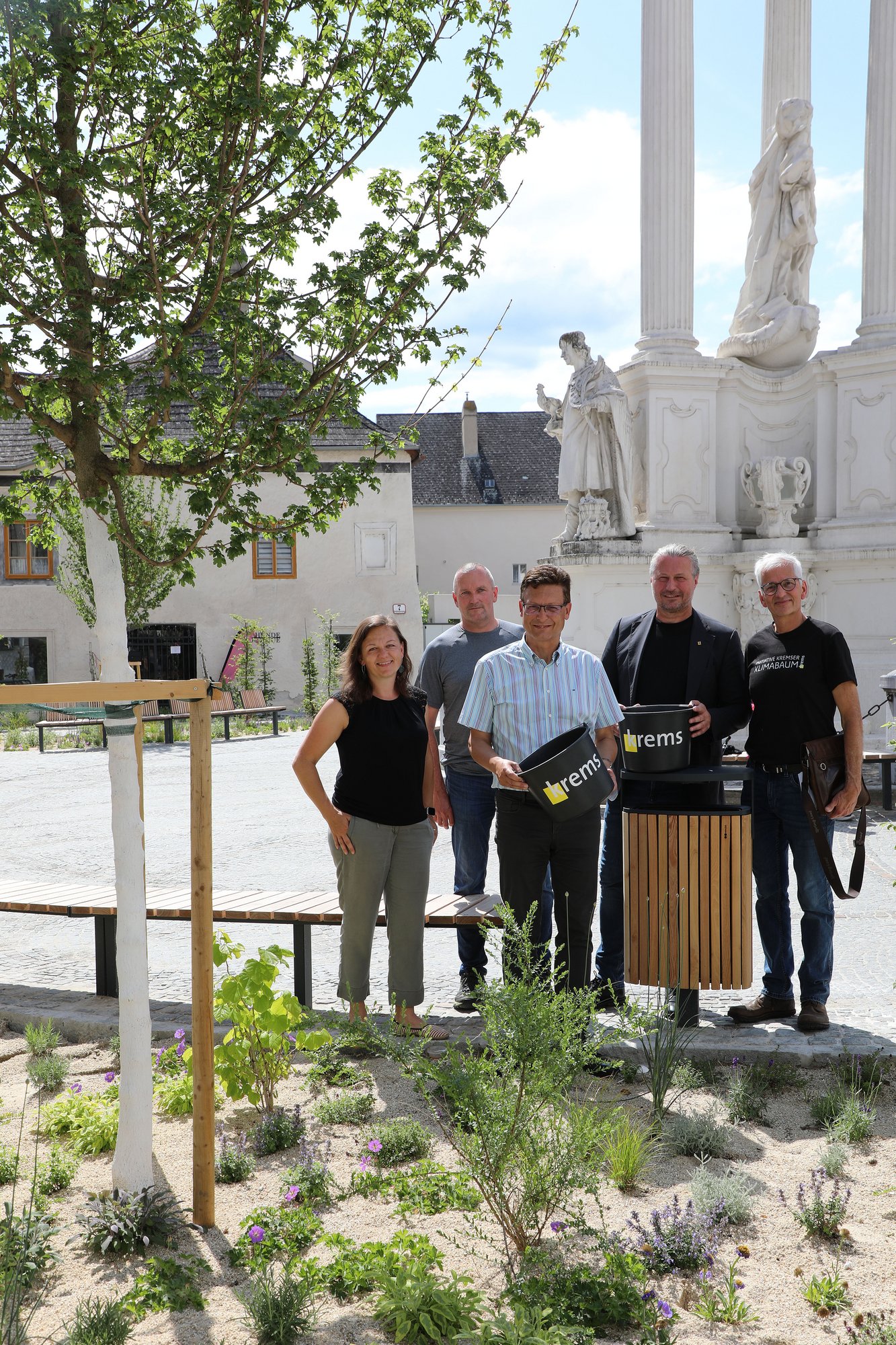 2. Juni 2025, Pate Peter Ebner, Dreifaltigkeitsplatz, Baumart Feldahorn