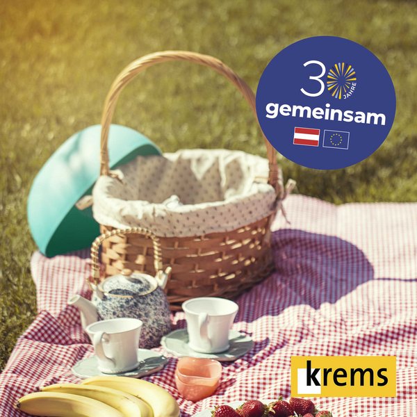 Outdoor picnic
