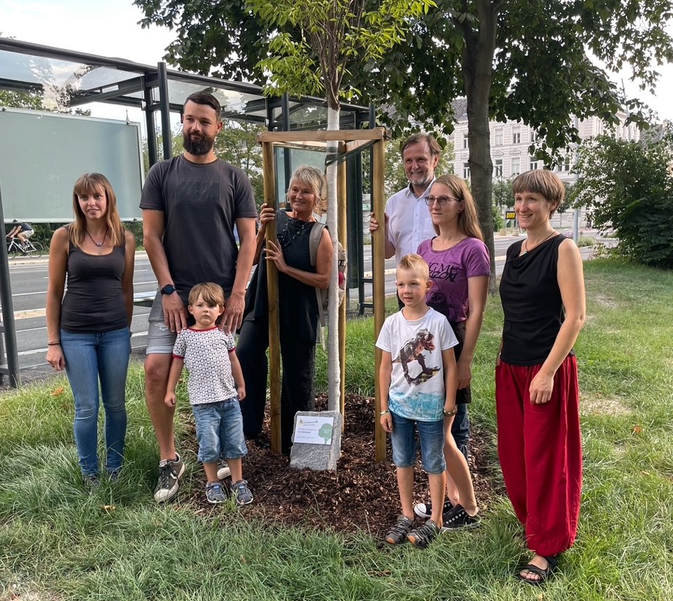 01.08.2022, Patin Irene Seilnberger im Stadtpark, Baumart Schlankkronige Zelkova