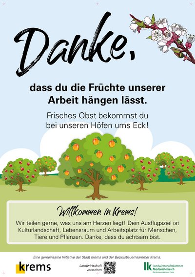 Fotosujet zur Achtsamkeitskampagne: Danke – Früchte