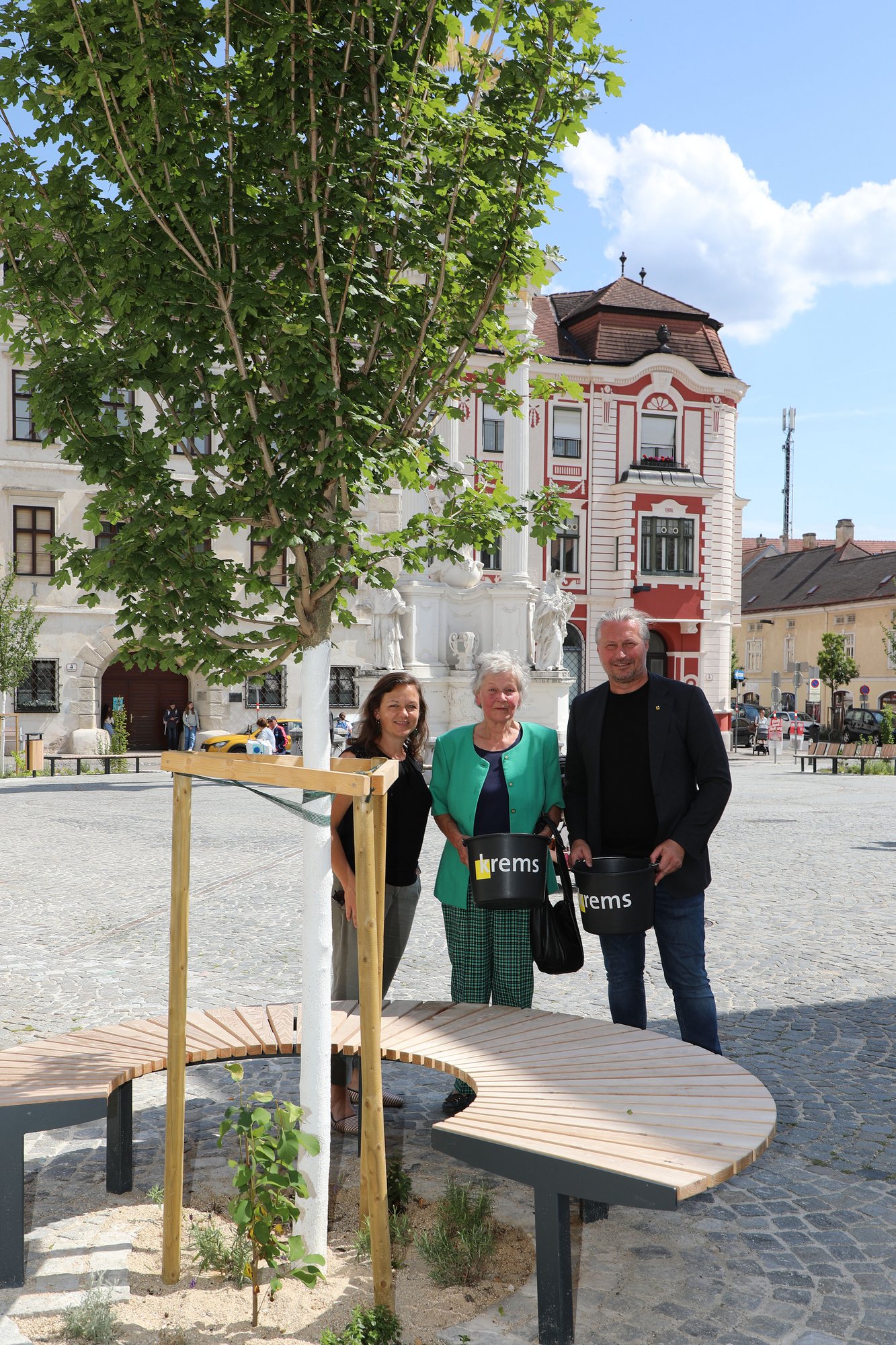 2. Juni 2025, Patin Ingrid Winter, Dreifaltigkeitsplatz, Baumart Feldahorn