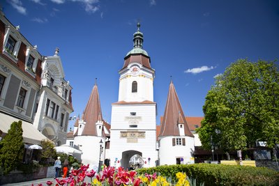 Steiner Tor