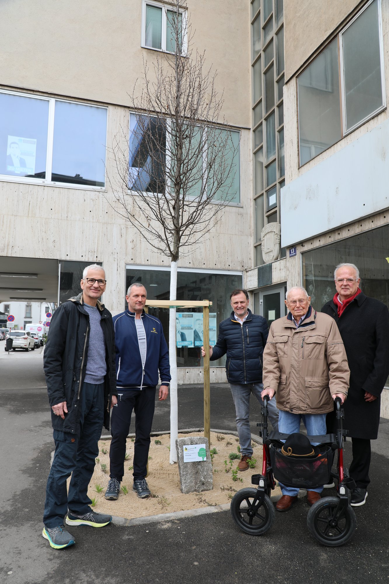 20.03.2023, Pate Herwig Eigel bei der Kreuzung Ringstraße/Bahnhof, Baumart Säulen-Hainbuche