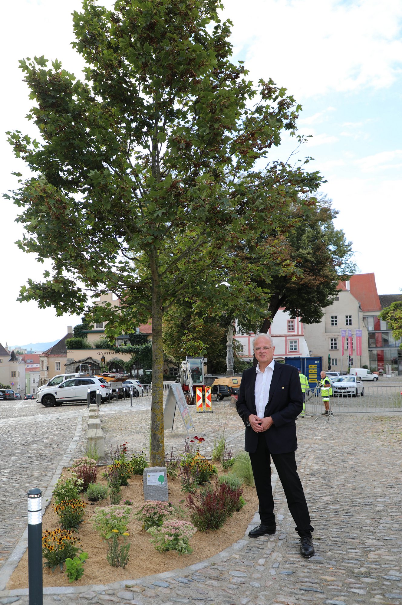 07.09.2022, Pate Bürgermeister Reinhard Resch am Hohen Markt, Baumart Spitzahorn