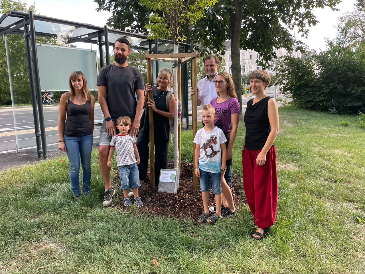 01.08.2022, Pate Fam. Seilnberger im Stadtpark, Baumart Schlankkronige Zelkova